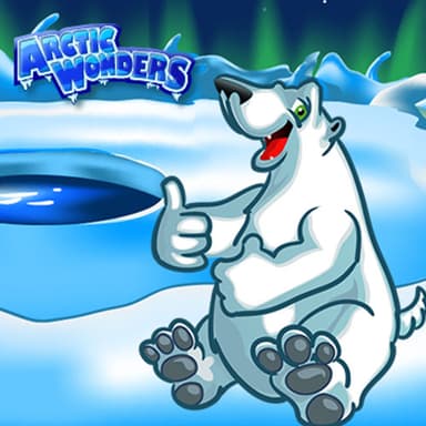 Arctic Wonders