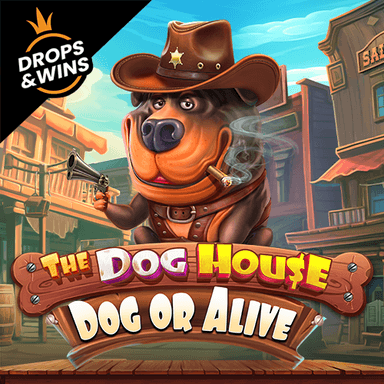 The Dog House – Dog or Alive