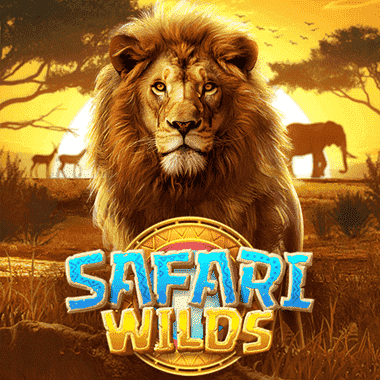 Safari Wilds